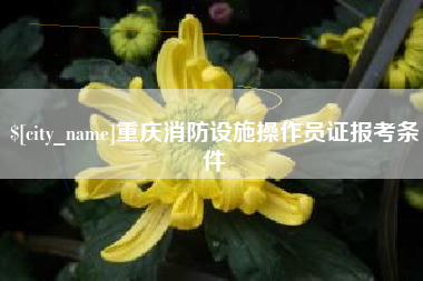 巴中重庆消防设施操作员证报考条件