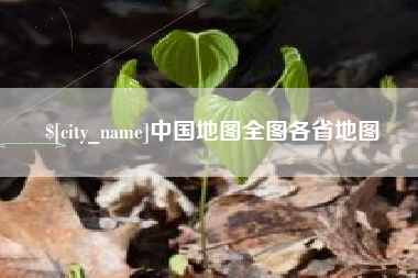 巴中中国地图全图各省地图