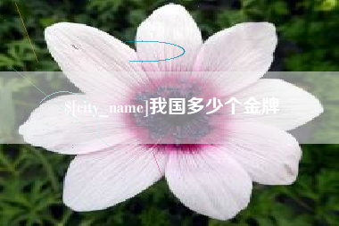 巴中我国多少个金牌