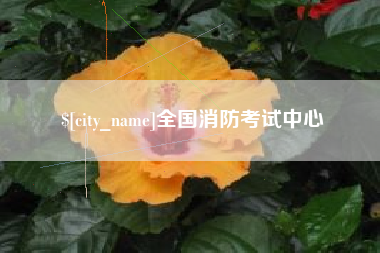 巴中全国消防考试中心