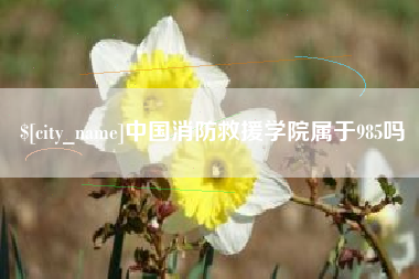 巴中中国消防救援学院属于985吗
