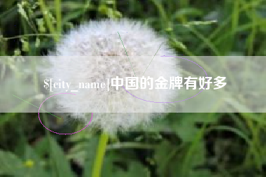 巴中中国的金牌有好多