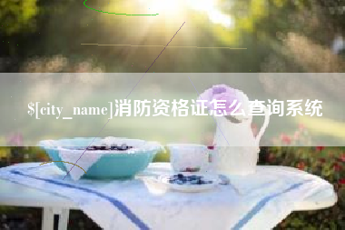 巴中消防资格证怎么查询系统