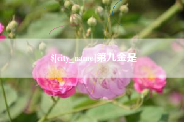 巴中第九金是