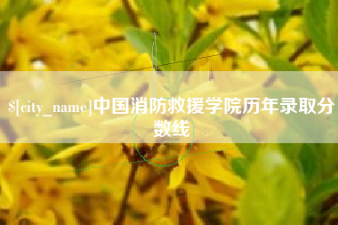 巴中中国消防救援学院历年录取分数线