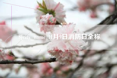 巴中11月9日消防日全称