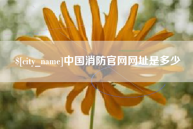巴中中国消防官网网址是多少