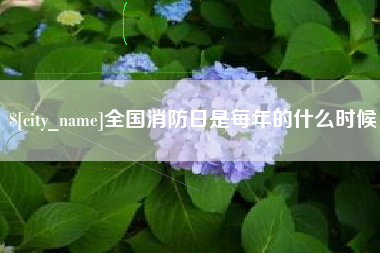 巴中全国消防日是每年的什么时候