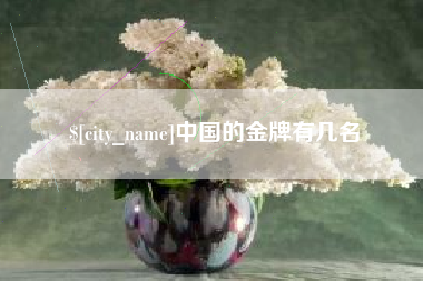 巴中中国的金牌有几名