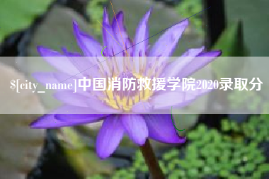 巴中中国消防救援学院2020录取分