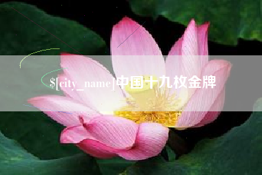 巴中中国十九枚金牌