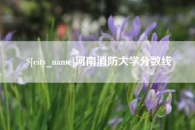 巴中河南消防大学分数线