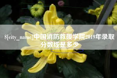 巴中中国消防救援学院2019年录取分数线是多少