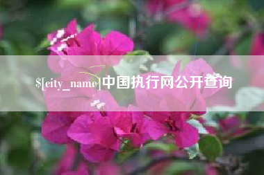 巴中中国执行网公开查询