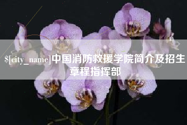 巴中中国消防救援学院简介及招生章程指挥部