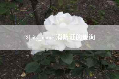 巴中消防证的查询