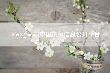 巴中中国执行信息公开平台
