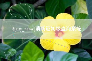 巴中消防证初级查询系统