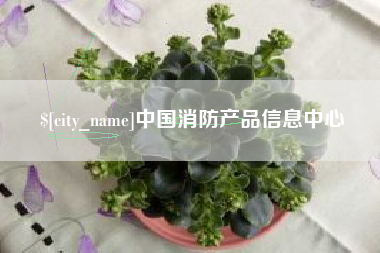 巴中中国消防产品信息中心