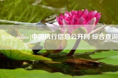 巴中中国执行信息公开网 综合查询