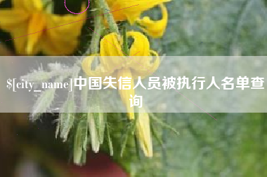巴中中国失信人员被执行人名单查询