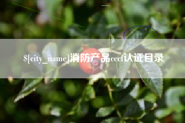 巴中消防产品cccf认证目录