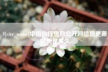 巴中中国执行信息公开网信息更新时间是多久