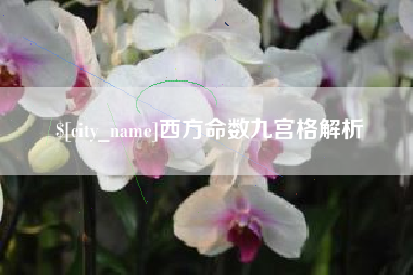 巴中西方命数九宫格解析