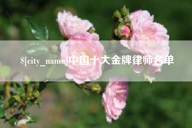 巴中中国十大金牌律师名单