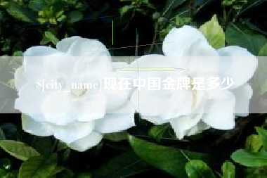 巴中现在中国金牌是多少