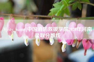 巴中中国消防救援学院2020年河南录取分数线