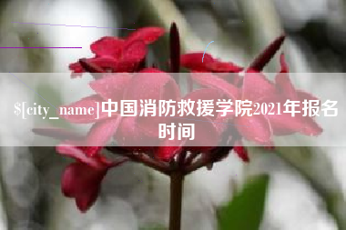 巴中中国消防救援学院2021年报名时间