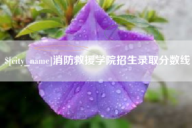 巴中消防救援学院招生录取分数线