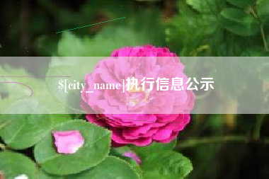 巴中执行信息公示