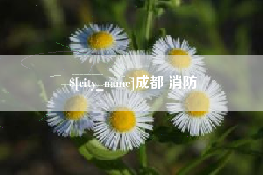 巴中成都 消防