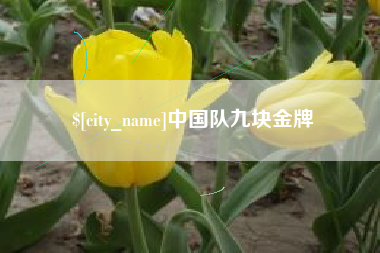 巴中中国队九块金牌
