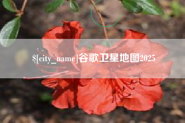 巴中谷歌卫星地图2025