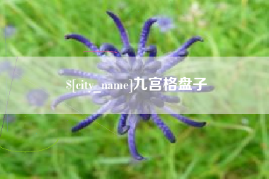巴中九宫格盘子