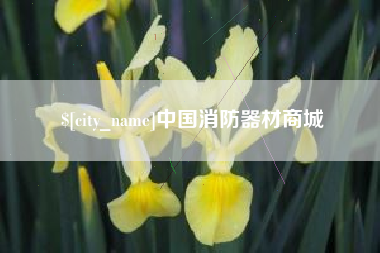 巴中中国消防器材商城