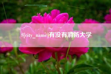 巴中有没有消防大学