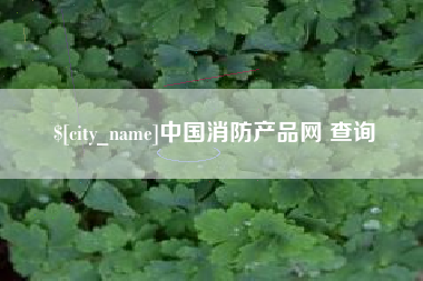 巴中中国消防产品网 查询