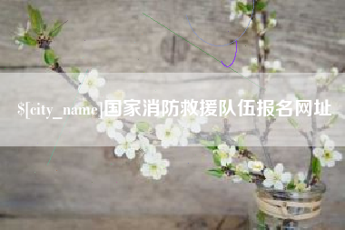 巴中国家消防救援队伍报名网址