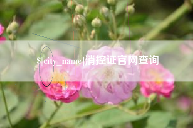 巴中消控证官网查询