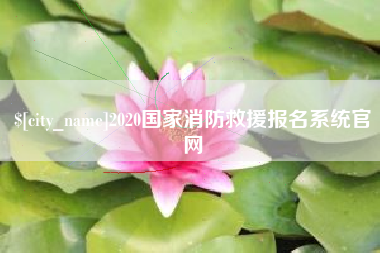 巴中2020国家消防救援报名系统官网