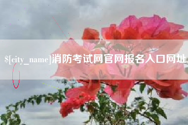 巴中消防考试网官网报名入口网址
