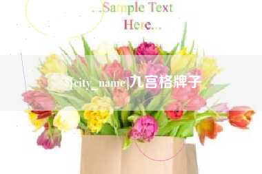 巴中九宫格牌子