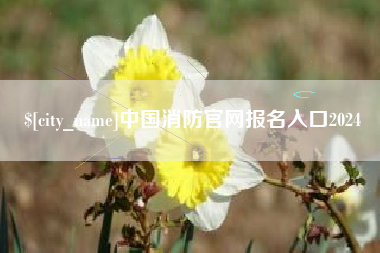 巴中中国消防官网报名入口2024