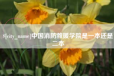 巴中中国消防救援学院是一本还是二本