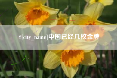 巴中中国已经几枚金牌