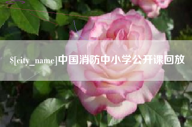巴中中国消防中小学公开课回放